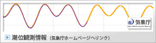 潮位観測情報