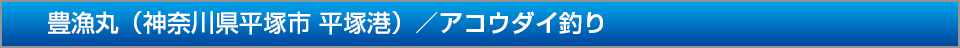 豊漁丸神奈川県平塚市平塚港