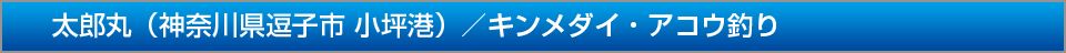 太郎丸神奈川県逗子市小坪港