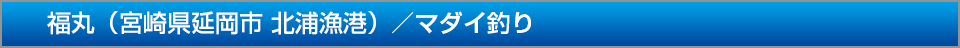 IMPACT宮崎県日向市細島港