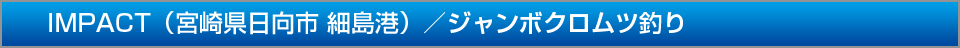 IMPACT宮崎県日向市細島港