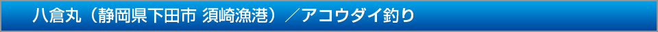 八倉丸静岡県下田市須崎漁港