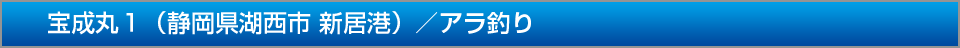 宝成丸１静岡県湖西市浜名港アラ釣り