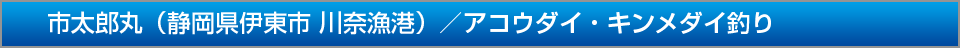 市太郎丸静岡県伊東市川奈漁港