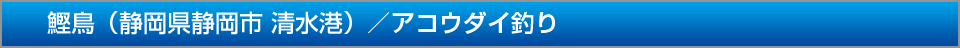 鰹鳥静岡県静岡市清水港アコウダイ釣り