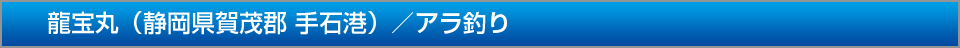 龍宝丸静岡県賀茂郡手石港