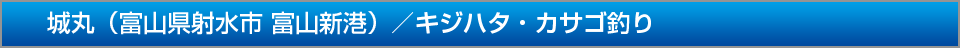 城丸富山県射水市富山新港