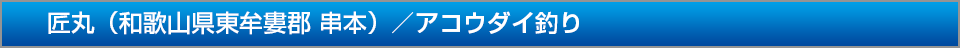 かわばた渡船和歌山県東牟婁郡串本アコウダイ釣り