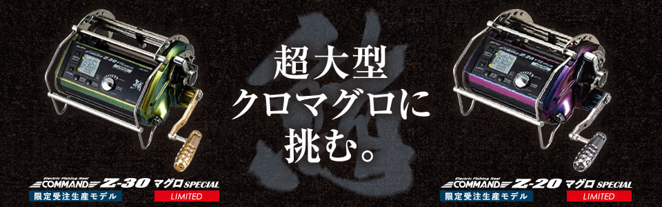 限定受注生産モデル