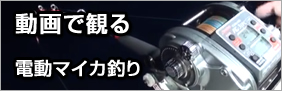 動画で観る 電動マイカ釣り