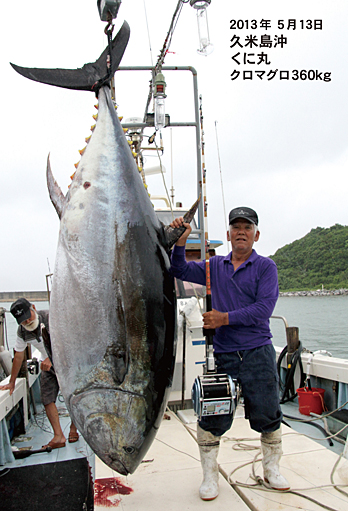 2013.5.13久米島沖で釣れた360kg超えのクロマグロと仲道さん