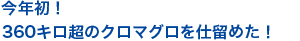 クロマグロ71.3kgを釣り上げられ、賞金10万円ゲット！