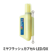 ミヤフラッシュカプセル LED/DX