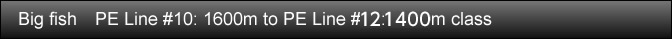 Big fish PE Line #10: 1600m to PE Line #20: 1200m class