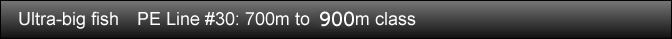 Ultra-big fish PE Line #30: 700m to 1000m class